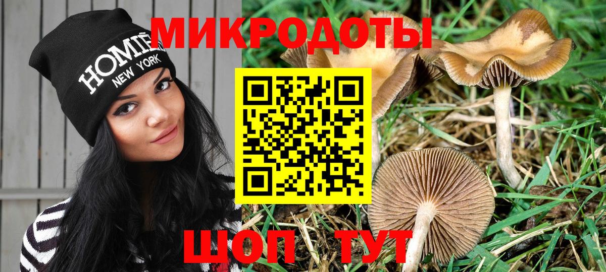 Галлюциногенные грибы Magic Shrooms  Вход с VPN  Псилоцибиновые грибы Cubensis  цена   Ейск 